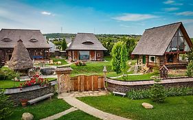 Echoes of Vlădicu
